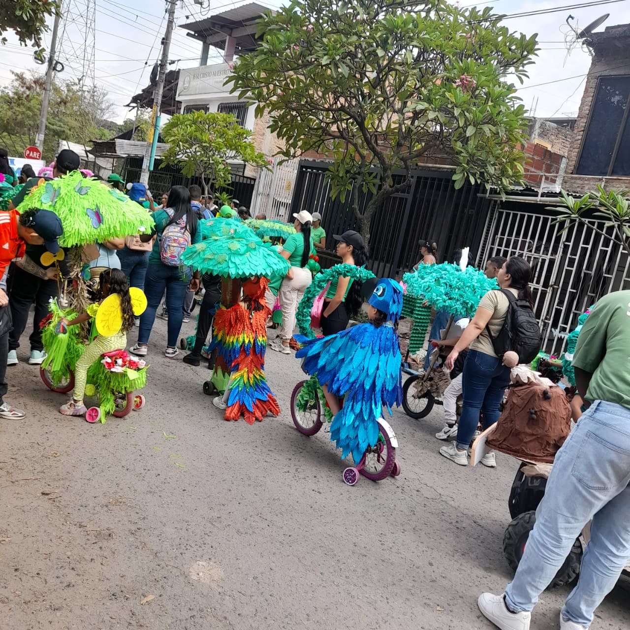 Carrozas Sede 3 - 21